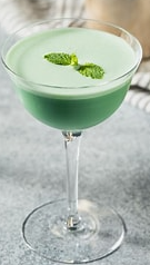 Grasshopper